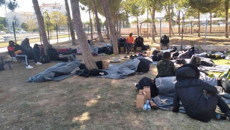 Didim’de 45 düzensiz göçmen yakalandı