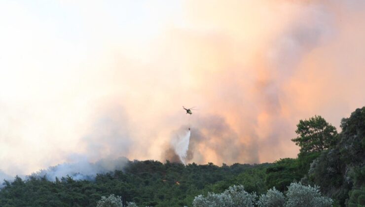 Muğla’daki yangında 50 hektar alan zarar gördü