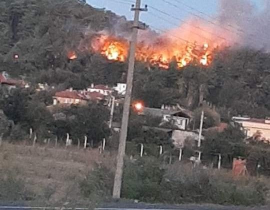 Ula’da orman yangını çıktı