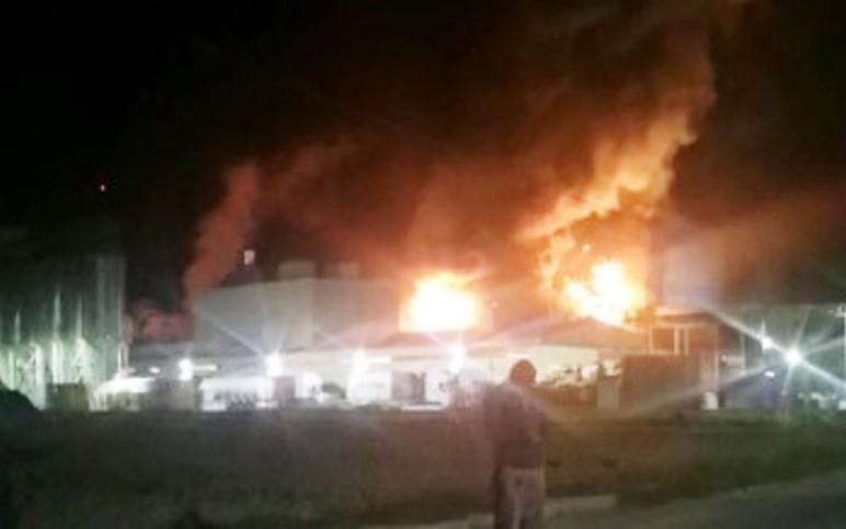 Milas’ta balık yem fabrikasında patlama sonrası yangın çıktı