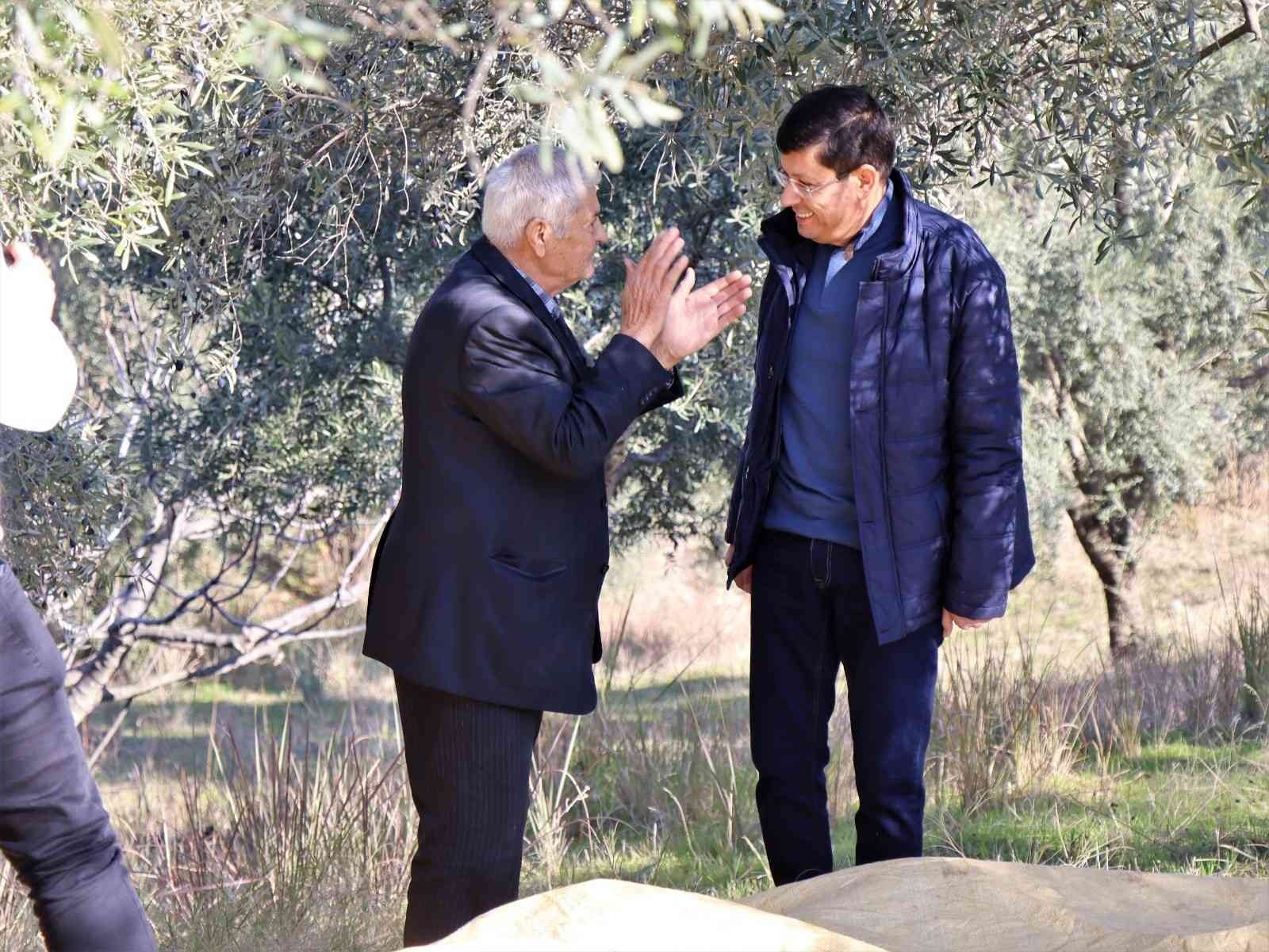 Başkan Özcan zeytin hasadına katıldı, üreticilerle bir araya geldi