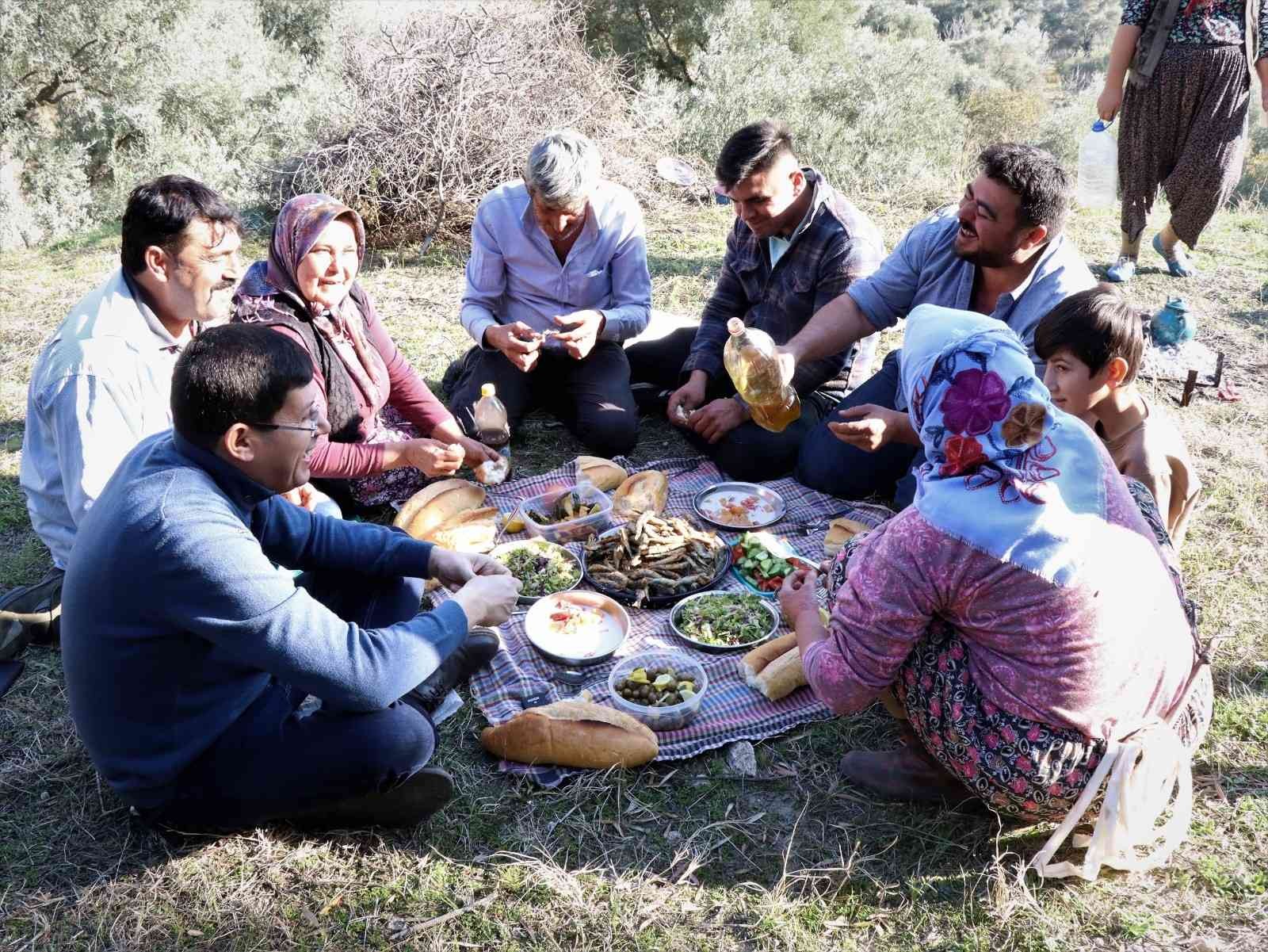 Başkan Özcan zeytin hasadına katıldı, üreticilerle bir araya geldi