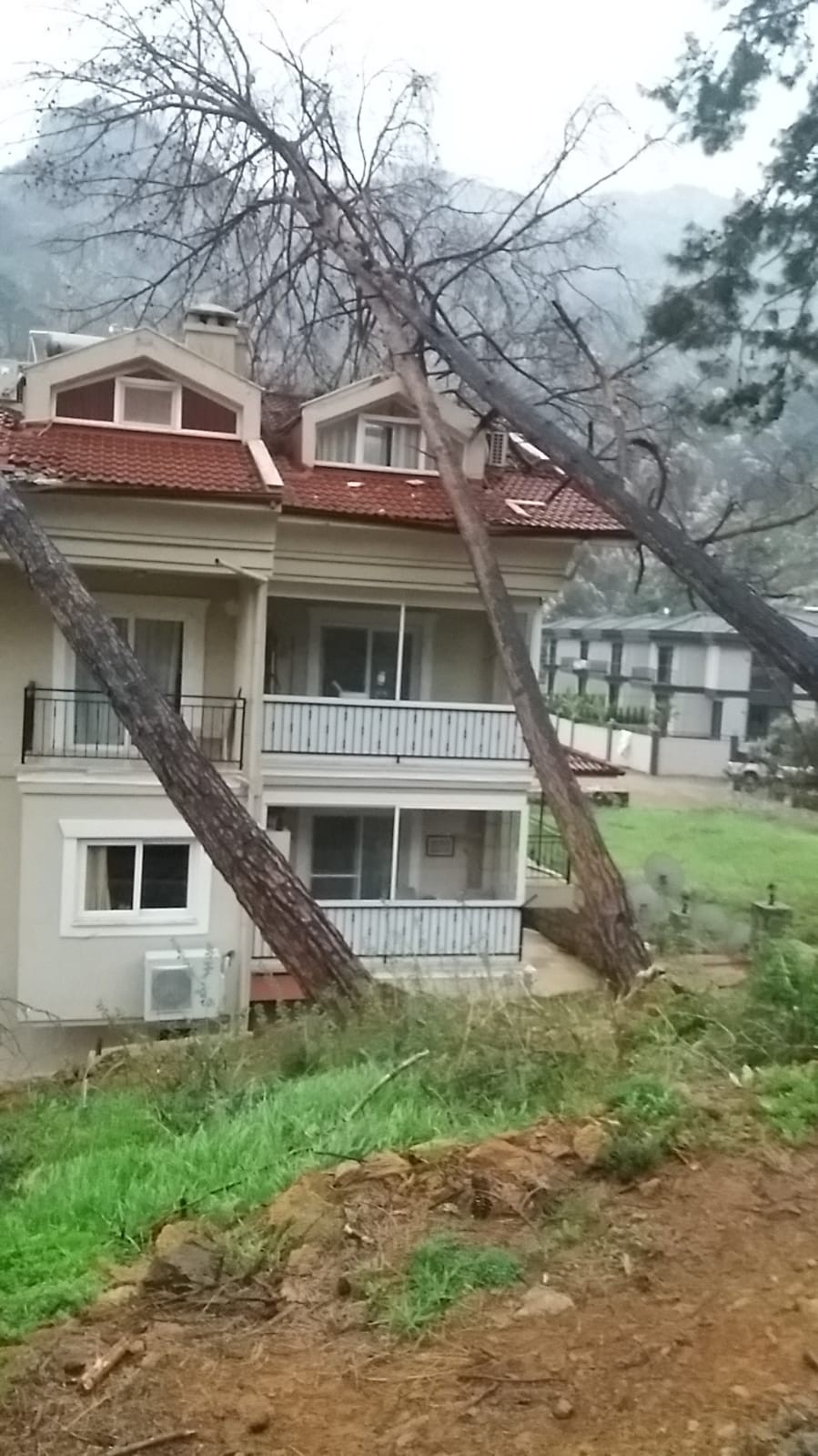 Fırtına ağaçları devirdi, lüks araç ve bir ev zarar gördü