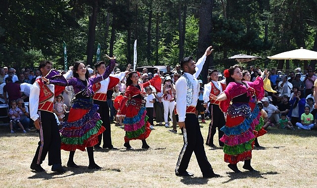 İznik Belediyesi'nin ev sahipliğinde 4. kez düzenlenen Maviyemiş Festivali'ne bu yıl katılım yoğundu
